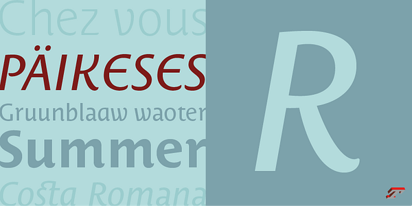 Card displaying Costa typeface in various styles