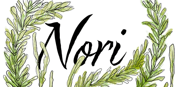 Card displaying Nori typeface in various styles
