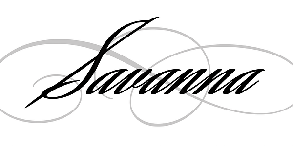 Card displaying Savanna Script typeface in various styles