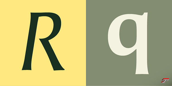 Card displaying Angie Sans typeface in various styles