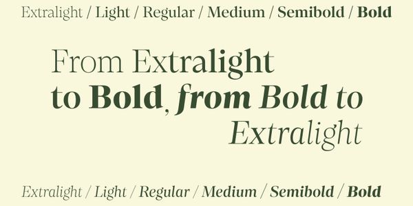 Card displaying Loretta Display typeface in various styles