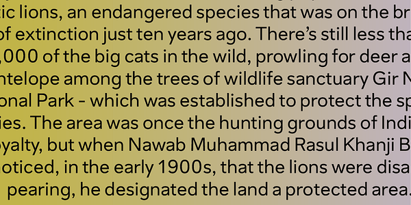 Card displaying Sarvatrik Latin Variable typeface in various styles