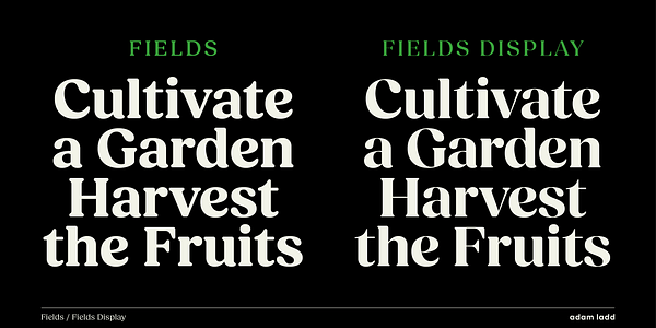 Card displaying Fields Display typeface in various styles