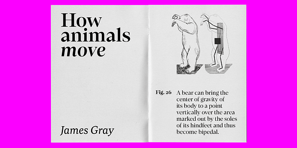 Card displaying Loretta Display typeface in various styles