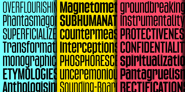 Card displaying Counterpress typeface in various styles