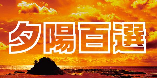 Card displaying VDL-LogoG Pop typeface in various styles