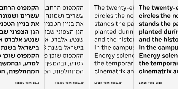 Card displaying Adapter Hebrew Text typeface in various styles