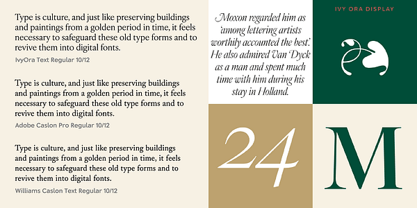 Card displaying IvyOra typeface in various styles