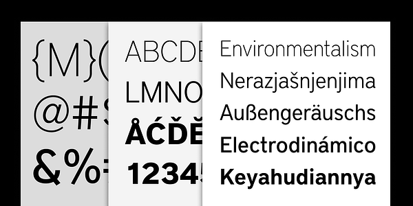 Card displaying District typeface in various styles