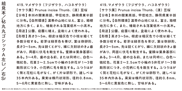 Card displaying Kinuta Maru Maru Gothic A typeface in various styles