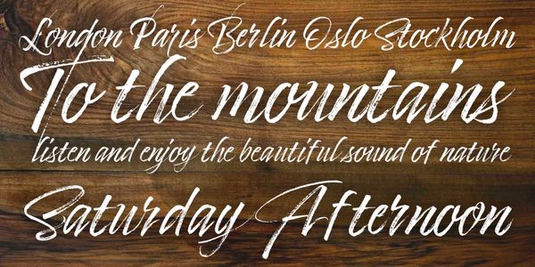 Card displaying Timberline typeface in various styles