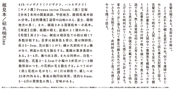 Card displaying Kinuta Marumin Kiso StdN typeface in various styles