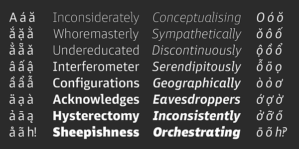Card displaying Enra Sans Variable typeface in various styles
