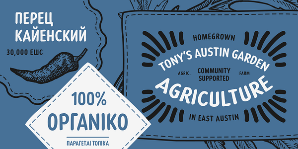 Card displaying Corsair PE typeface in various styles