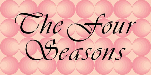 Card displaying Vivaldi MN typeface in various styles