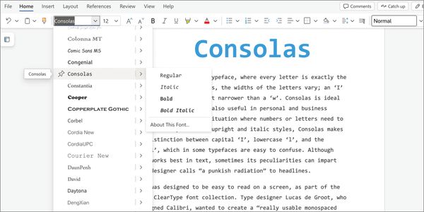 Card displaying Consolas typeface in various styles