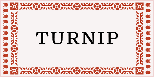 Card displaying Turnip typeface in various styles