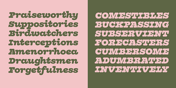 Card displaying Olivita typeface in various styles