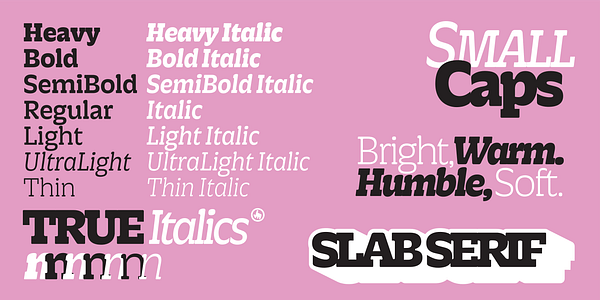 Card displaying Picholine Antique Variable typeface in various styles