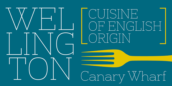 Card displaying Alight Slab typeface in various styles