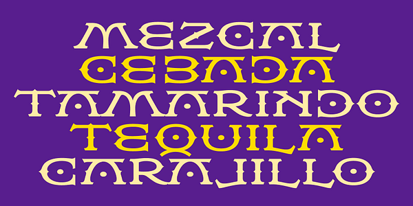 Card displaying Flexion typeface in various styles