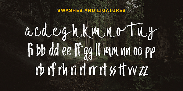 Card displaying Trailmade typeface in various styles