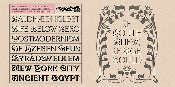 Card displaying Mancine typeface in various styles