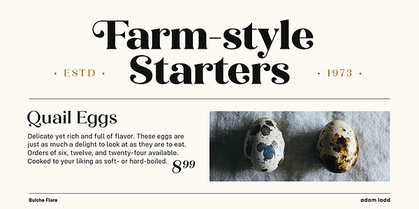 Card displaying Quiche Flare typeface in various styles