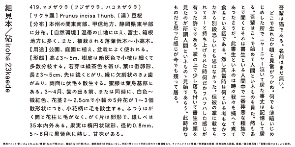 Card displaying Kinuta iroha 23kaede StdN typeface in various styles