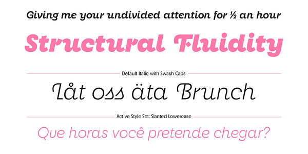 Card displaying Neighbor typeface in various styles