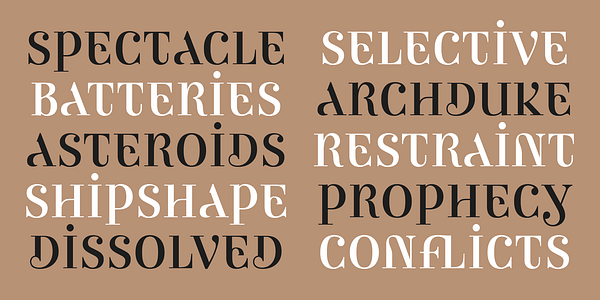 Card displaying Ambicase Modern typeface in various styles