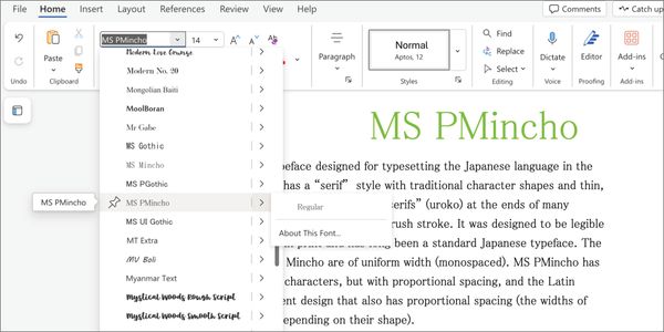 Card displaying MS PMincho typeface in various styles