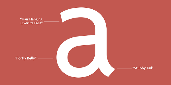 Card displaying Agenda One typeface in various styles