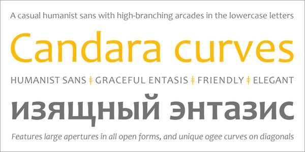 Card displaying Candara typeface in various styles