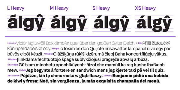 Card displaying Sets Grotesk typeface in various styles