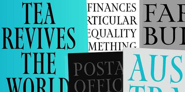 Card displaying Map Roman Variable typeface in various styles