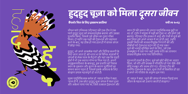 Card displaying Peridot Devanagari typeface in various styles