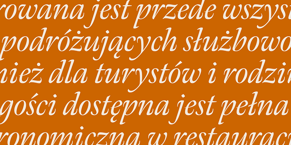 Card displaying Meno Display typeface in various styles