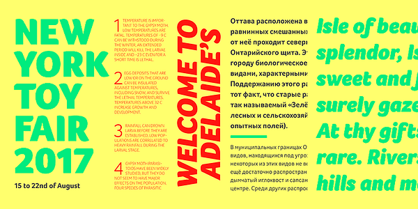 Card displaying Foco typeface in various styles
