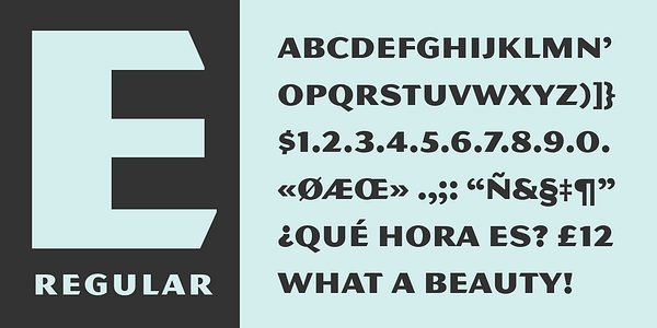 Card displaying MVB Magnesium typeface in various styles