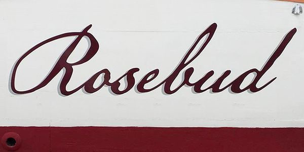 Card displaying American Scribe typeface in various styles