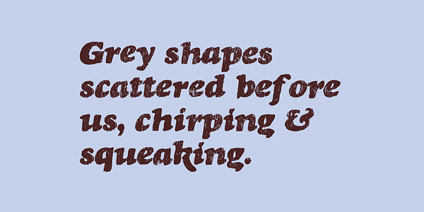 Card displaying Rinse typeface in various styles