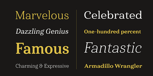 Card displaying Haboro Serif typeface in various styles