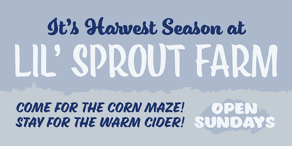 Card displaying Ed's Market  typeface in various styles