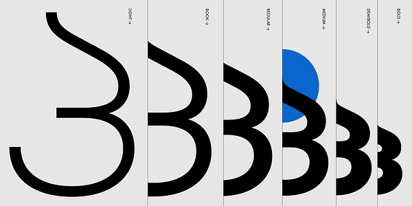 Card displaying Futura®100 Georgian typeface in various styles