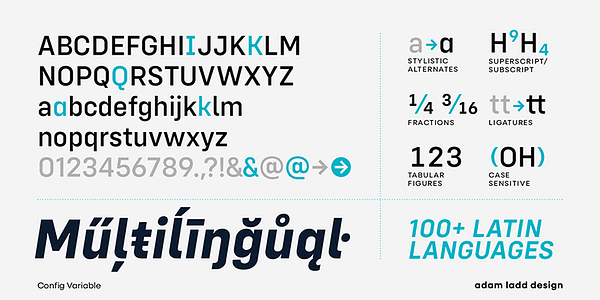 Card displaying Config Variable typeface in various styles