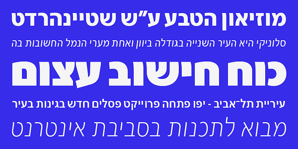 Card displaying Skolar Sans Hebrew typeface in various styles