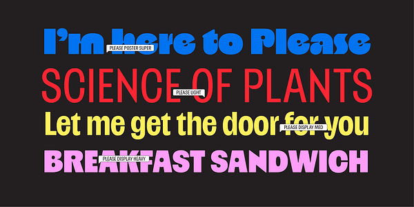 Card displaying Please Variable typeface in various styles