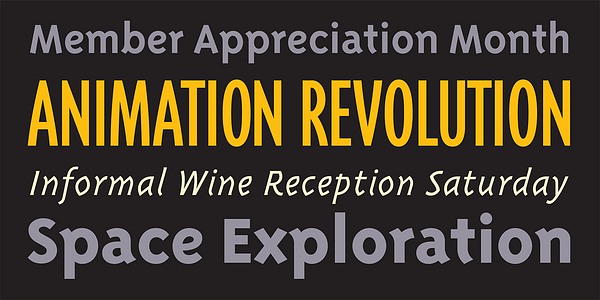 Card displaying Triplex Sans typeface in various styles