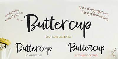 Card displaying Epicursive typeface in various styles